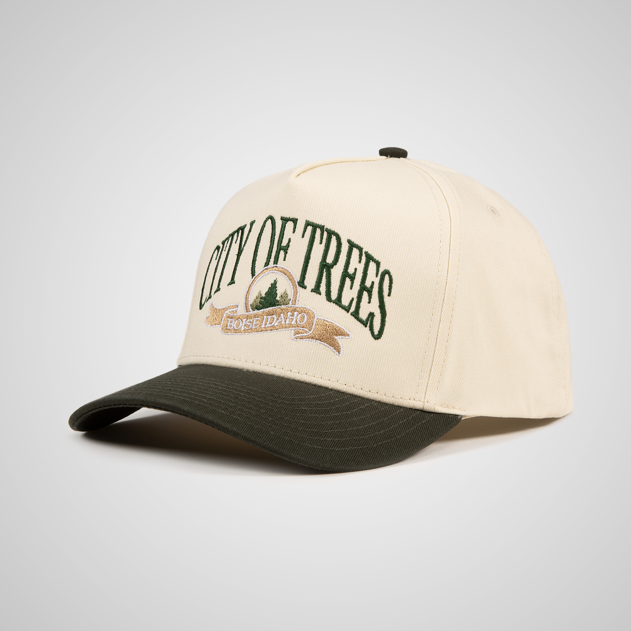 City Of Trees Retro Hat