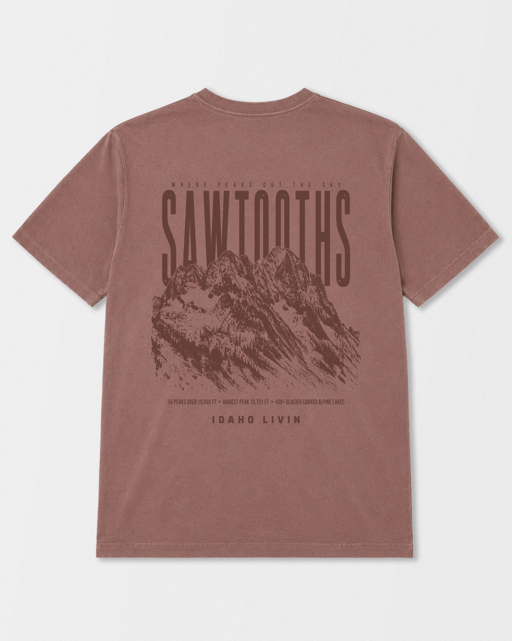Sawtooth Heavyweight Washed Graphic Tee | Chestnut