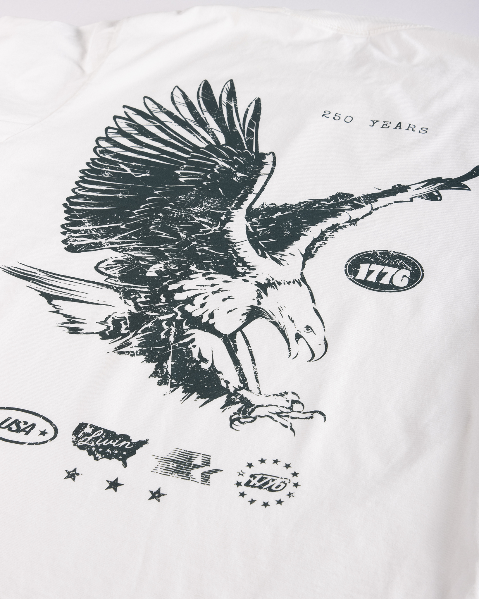 Eagle Heavyweight Washed Graphic Tee | White