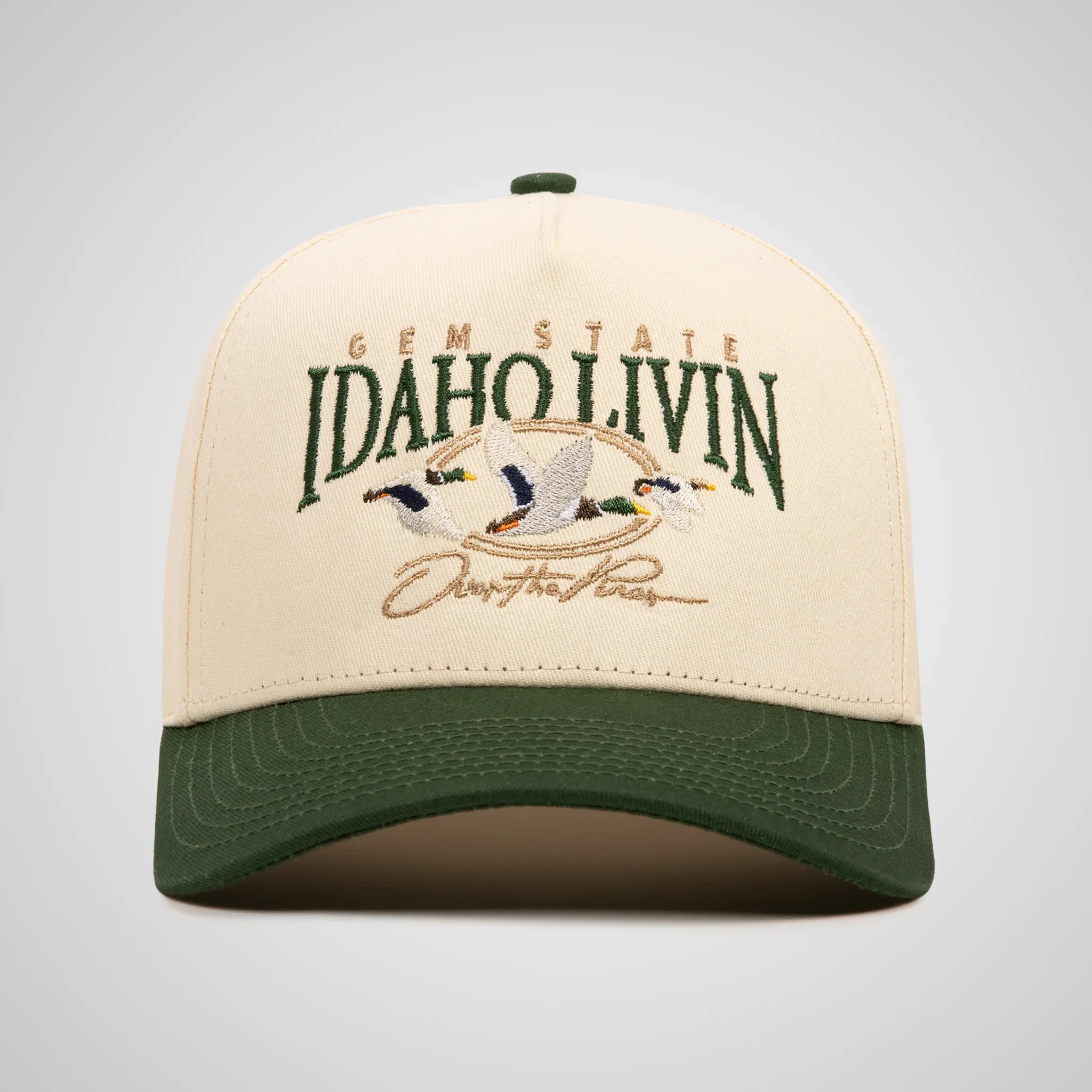 Over The Pines Retro Hat | Beige/Green