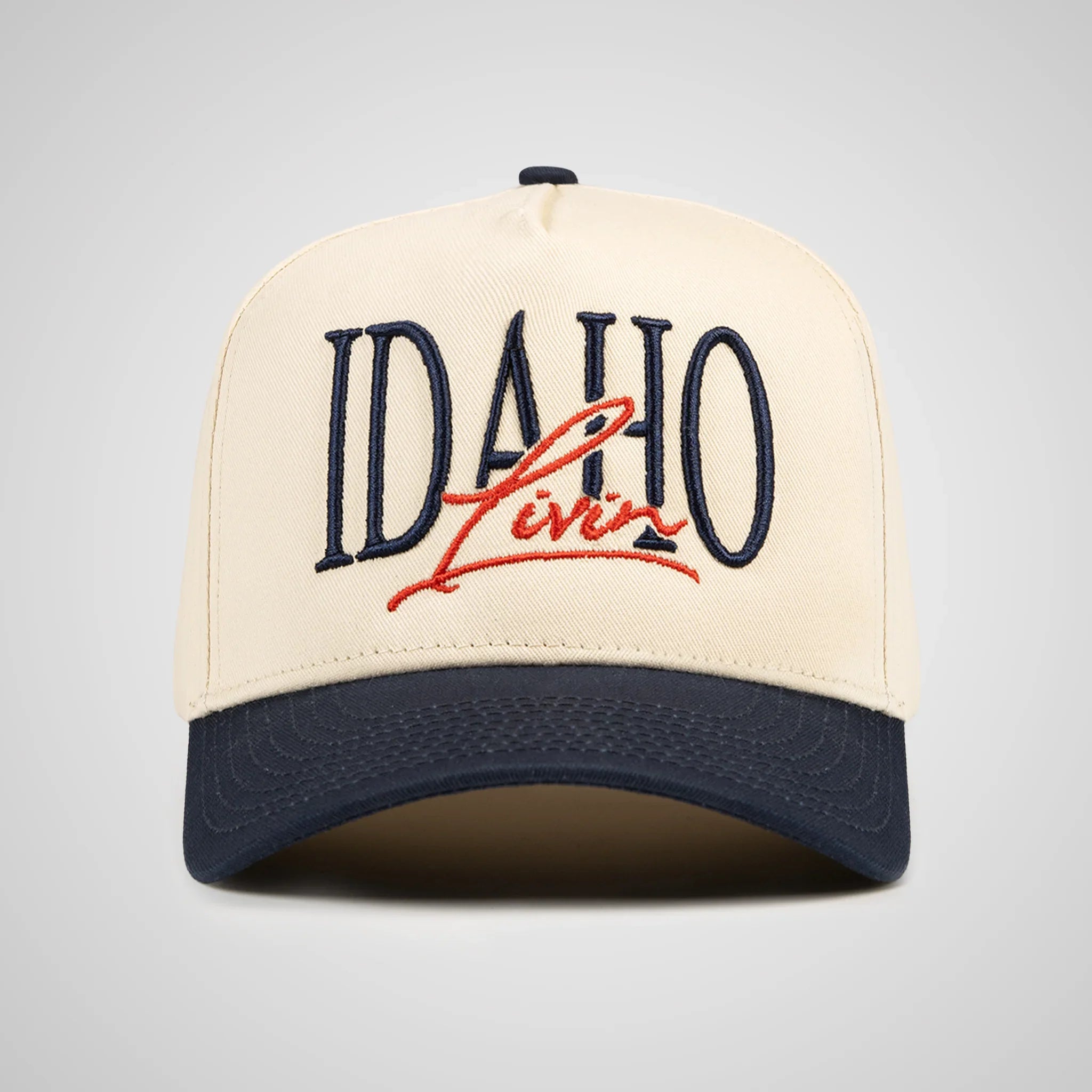 Idaho Script Flag Retro