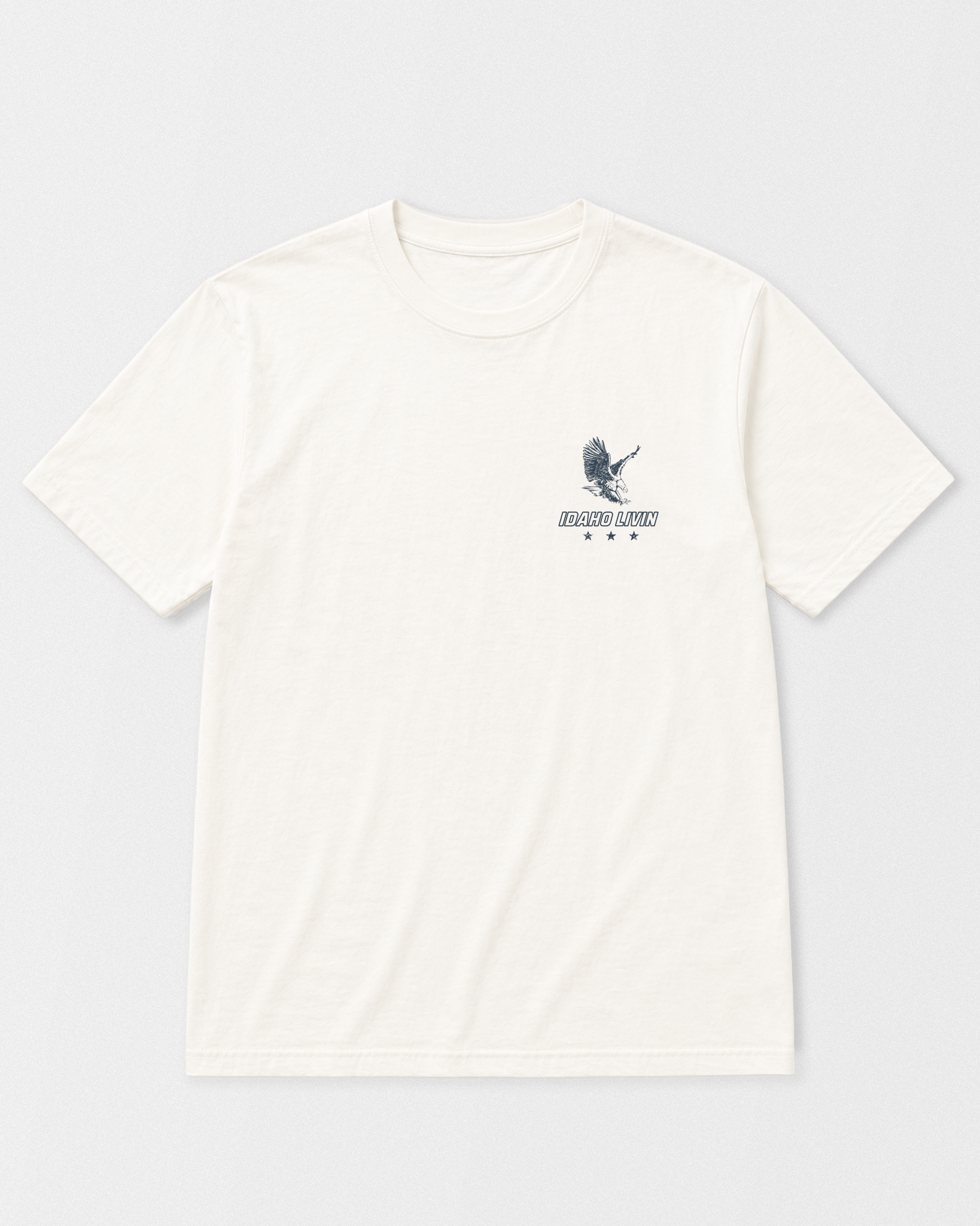 Eagle Heavyweight Washed Graphic Tee | White