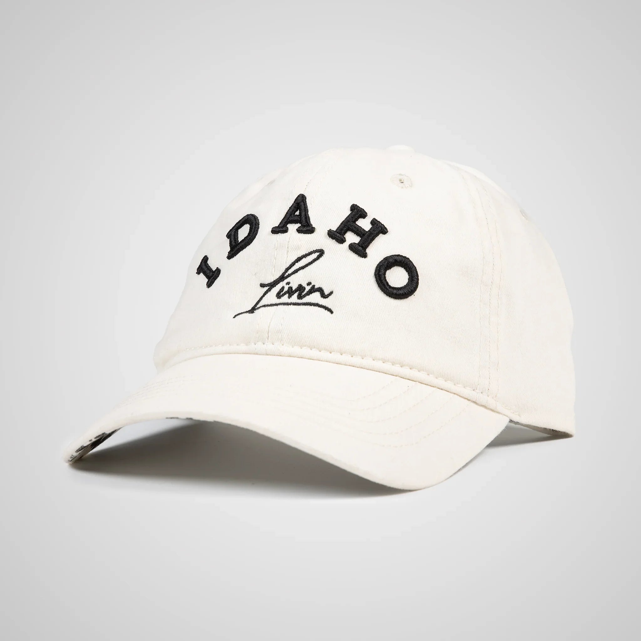 Idaho Arc Ponytail Hat