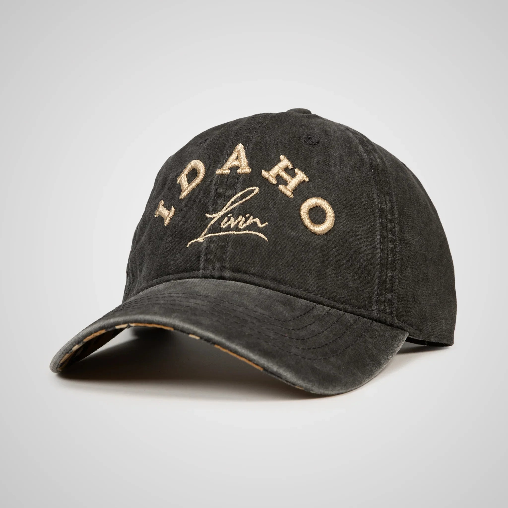 Idaho Arc Ponytail Hat