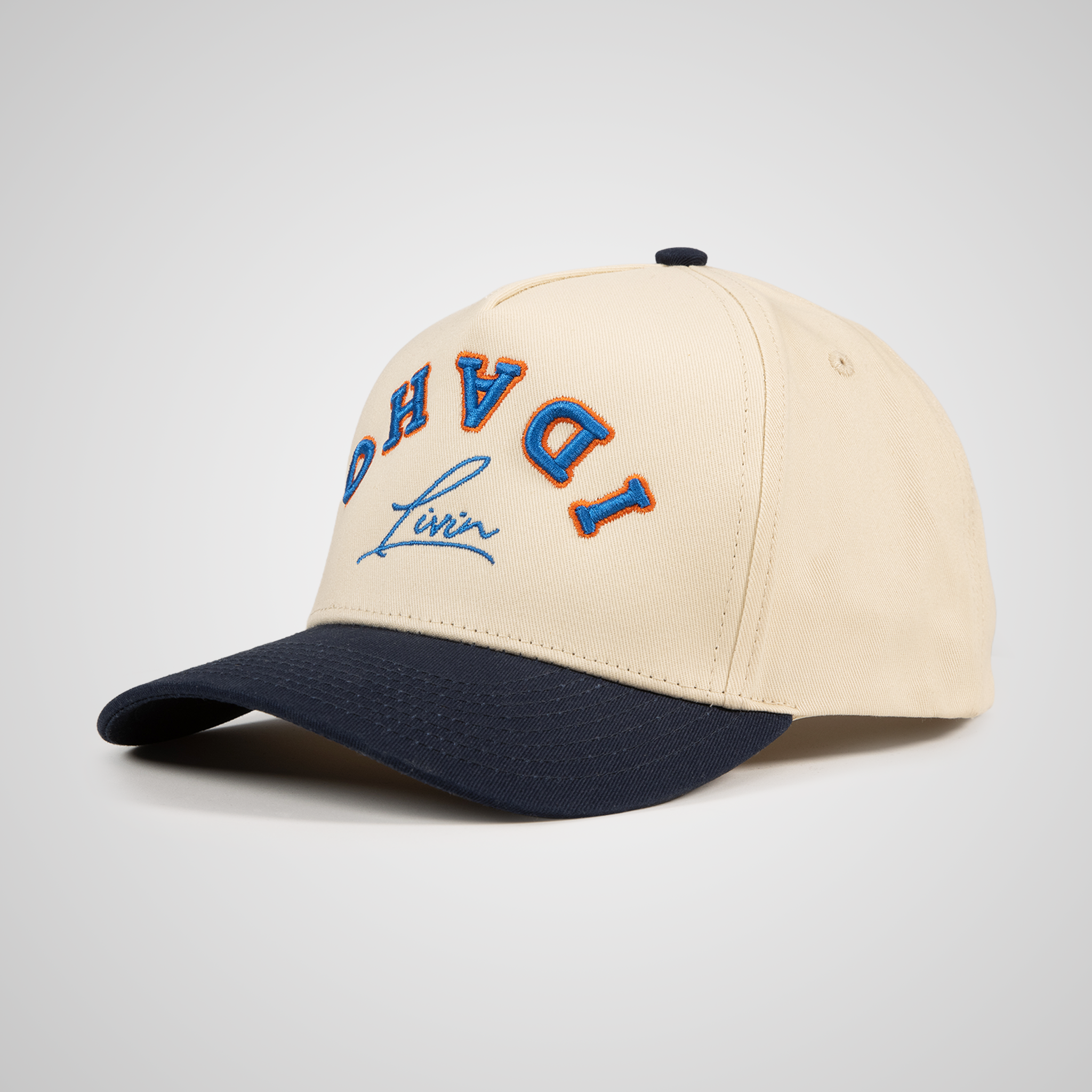 Upside Down Retro Hat - Beige/Navy