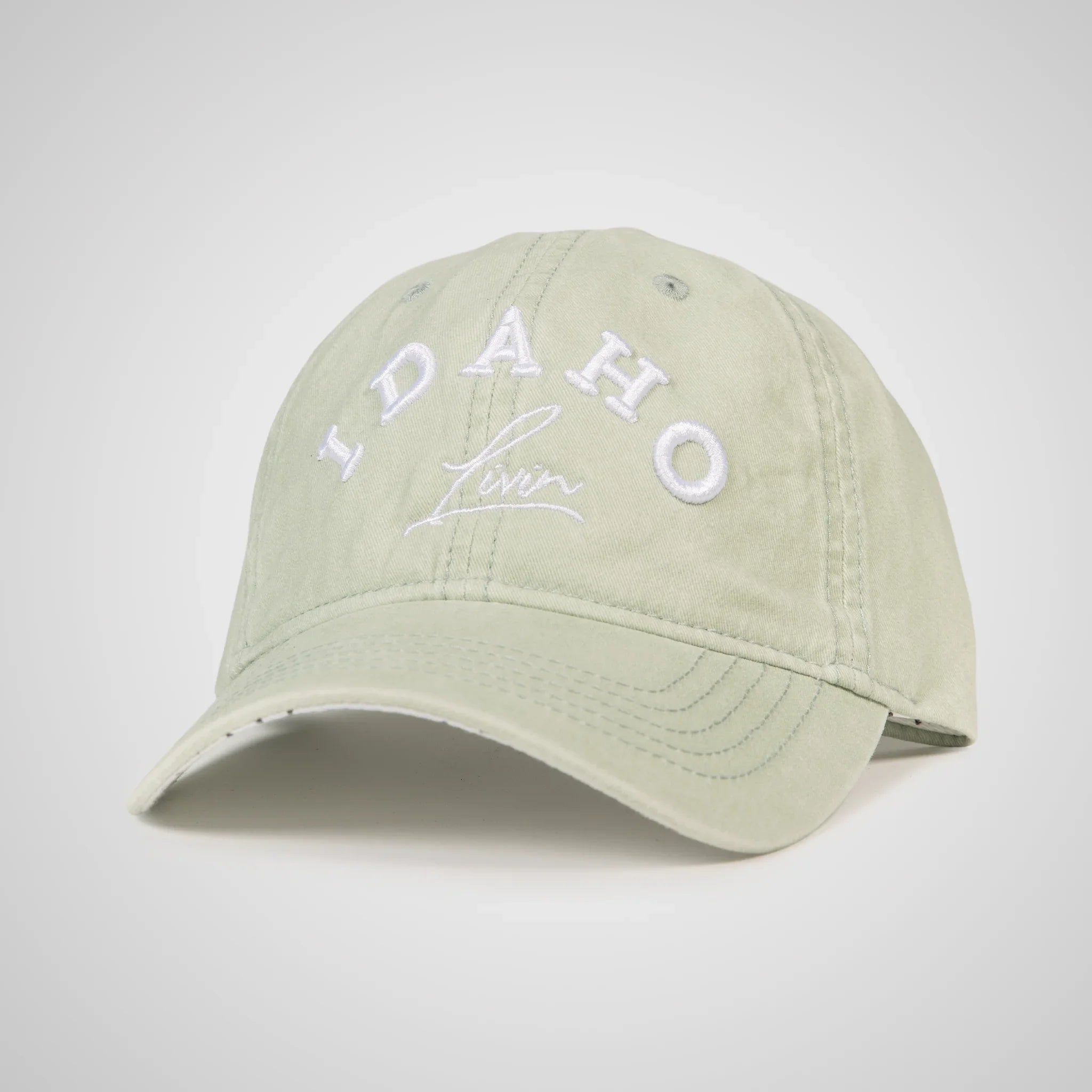 Idaho Arc Ponytail Hat