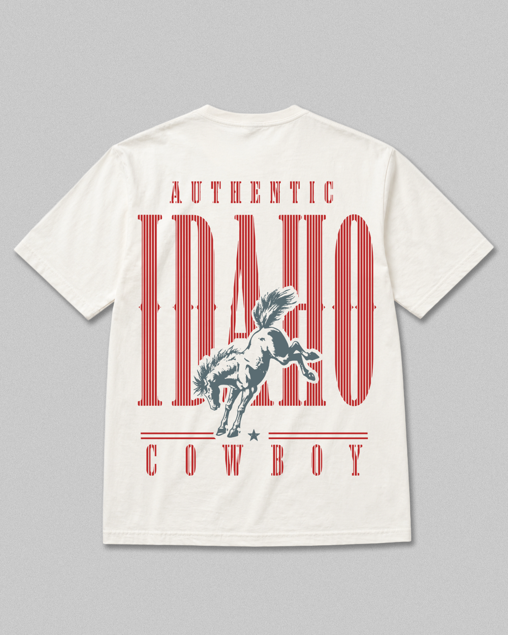 Bronco Heavyweight Washed Graphic T-Shirt | White