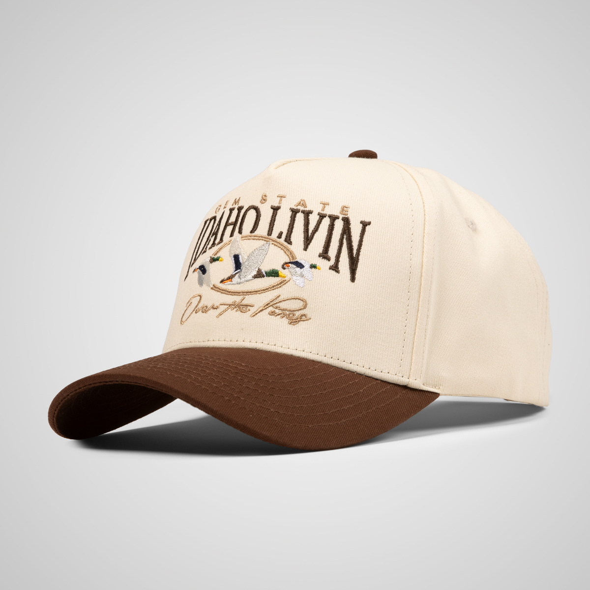Over The Pines Retro Hat | Beige/Brown