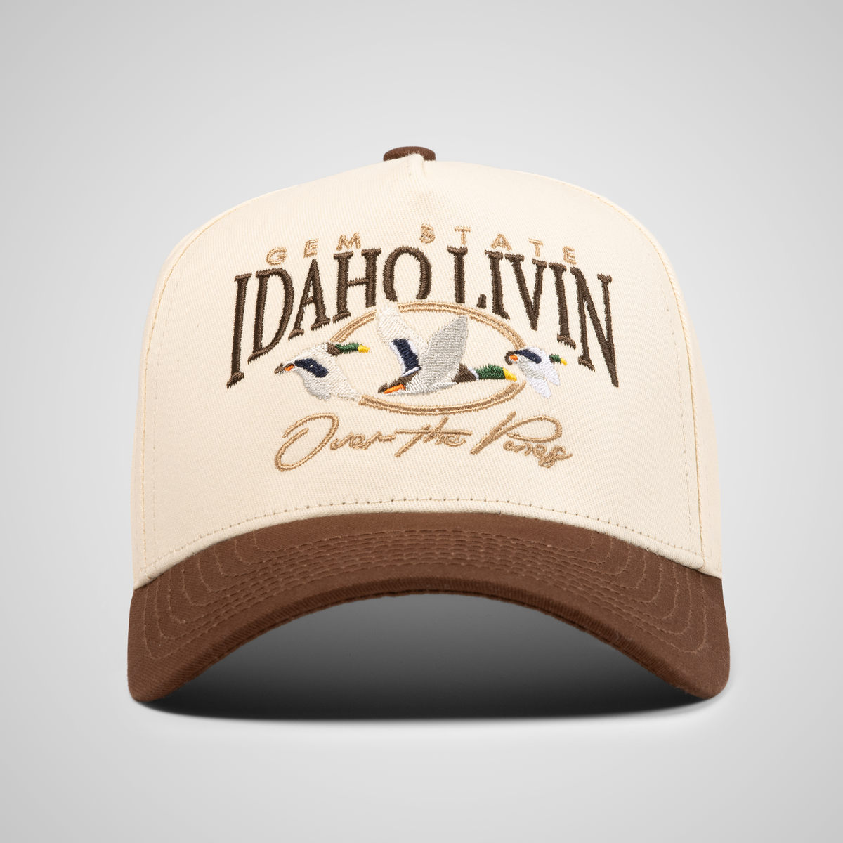 Over The Pines Retro Hat | Beige/Brown