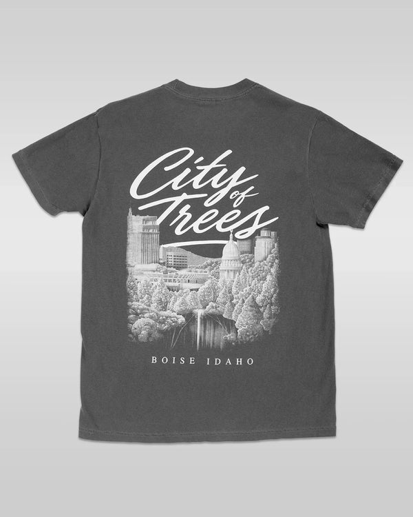 Idaho Livin heavyweight tee back view