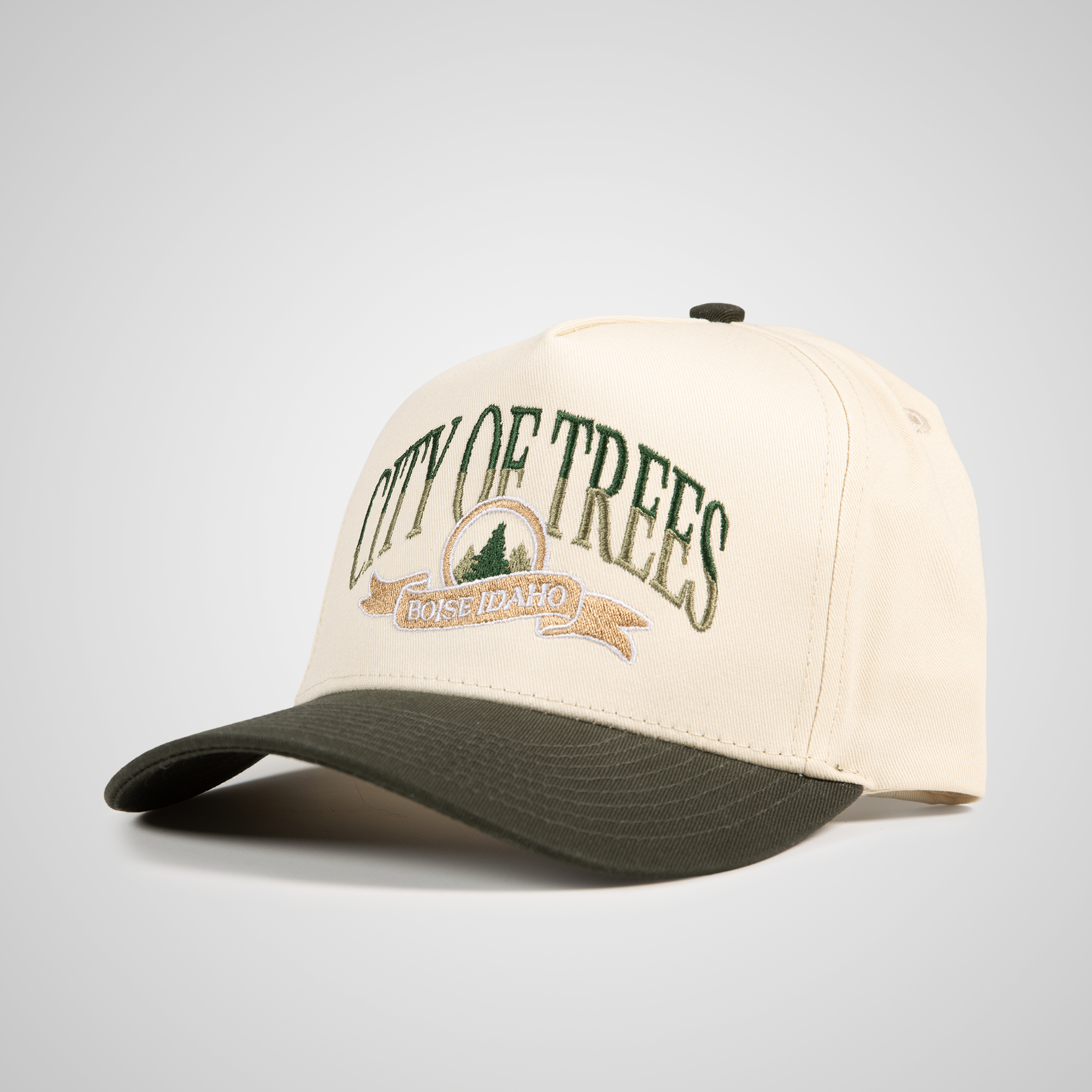 City Of Trees Retro Hat