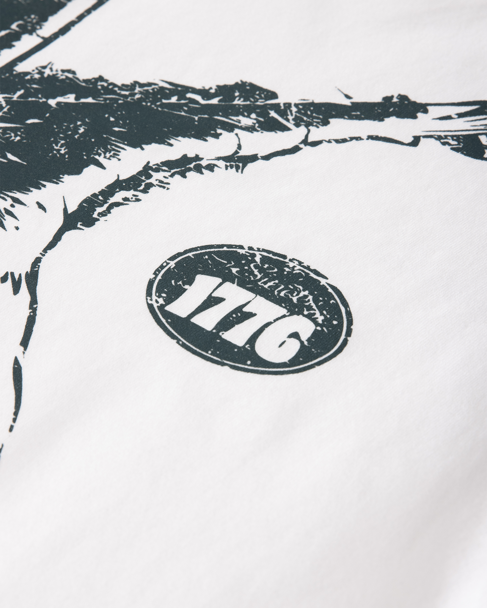Eagle Heavyweight Washed Graphic Tee | White