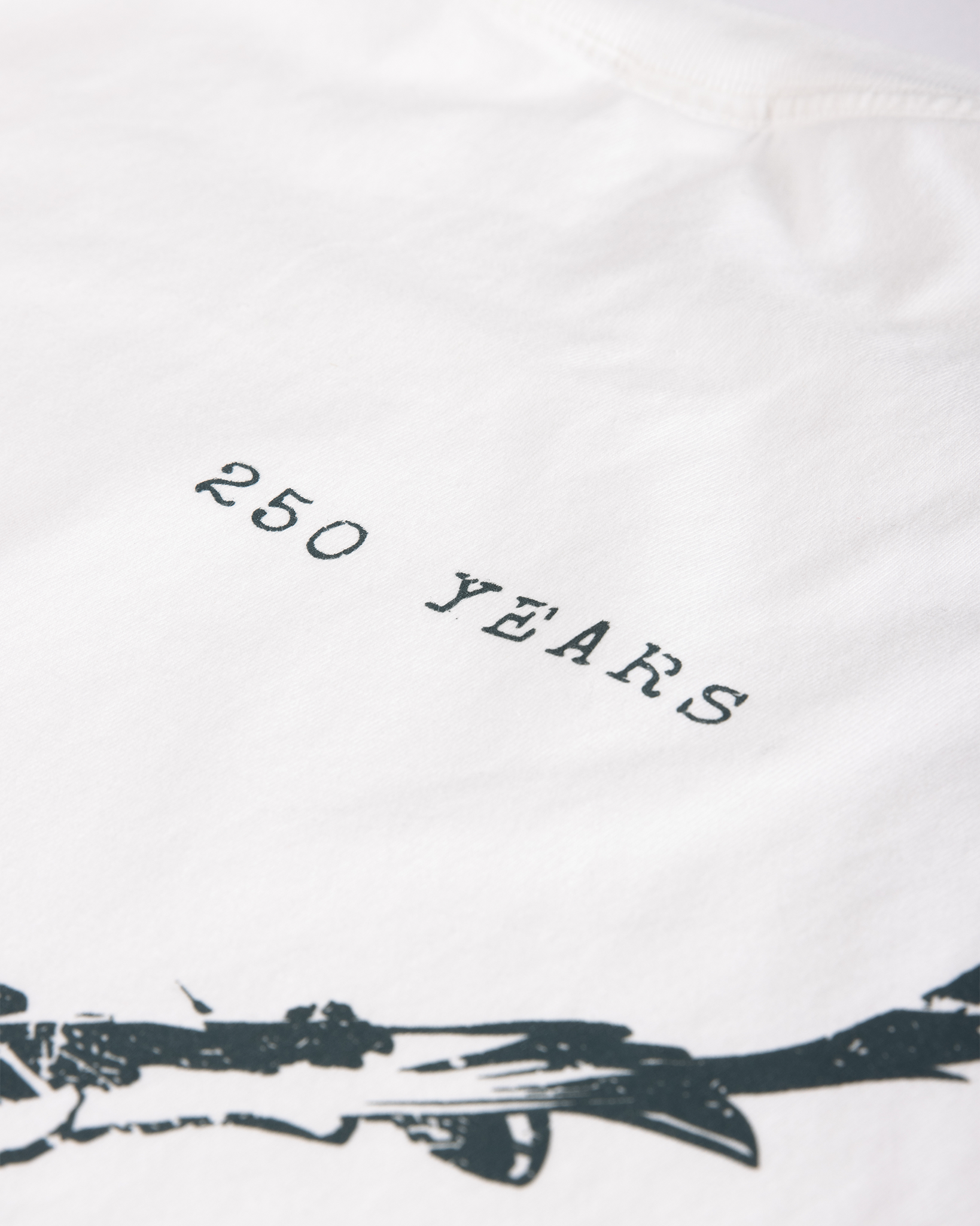 Eagle Heavyweight Washed Graphic Tee | White