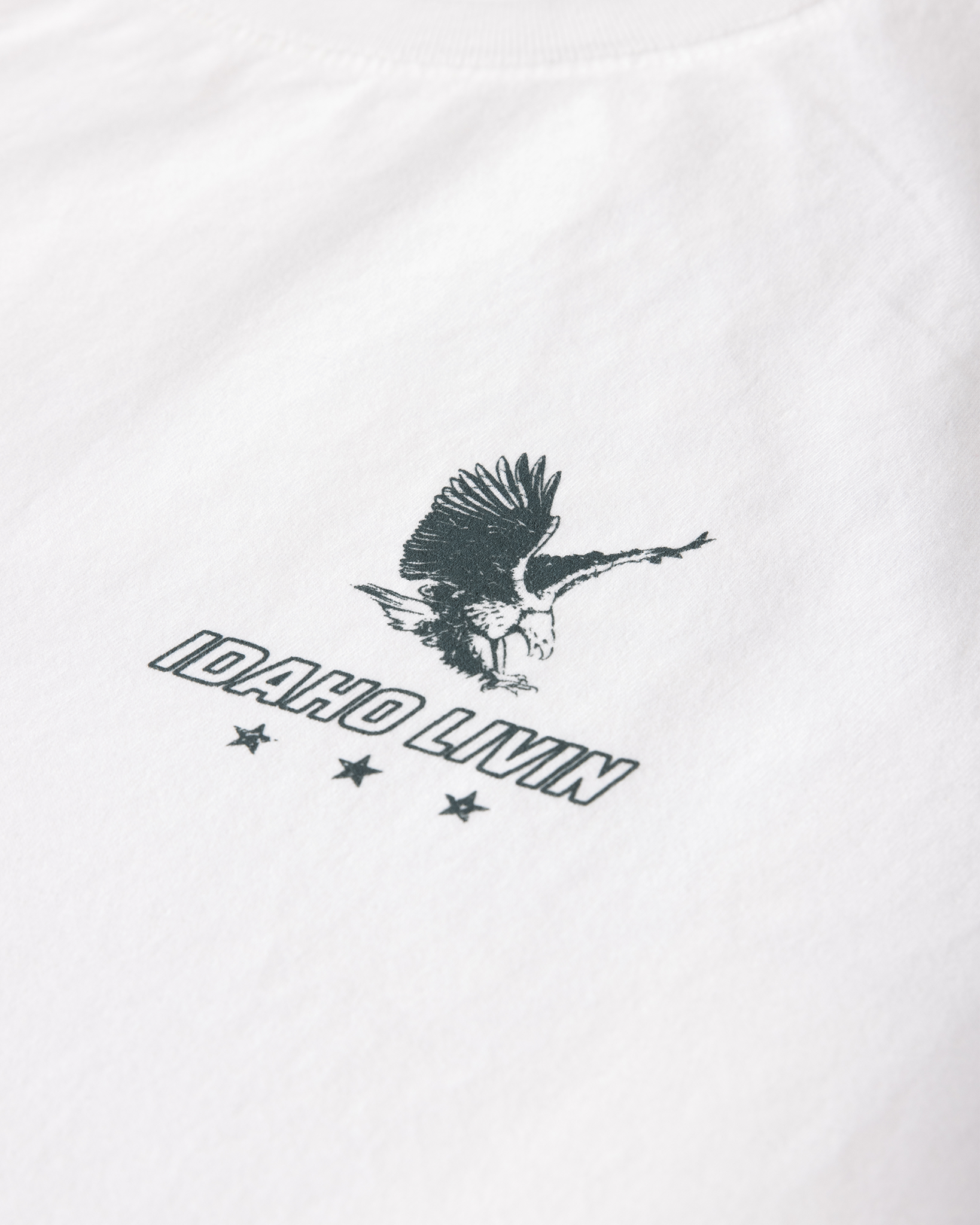 Eagle Heavyweight Washed Graphic Tee | White