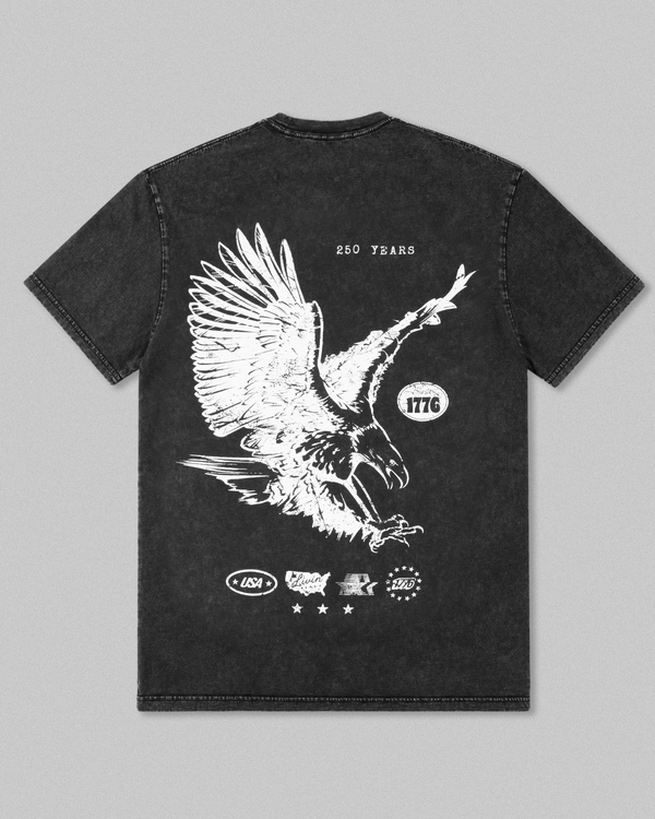 Eagle Stone Washed T-Shirt, Black - back view - Idaho Livin