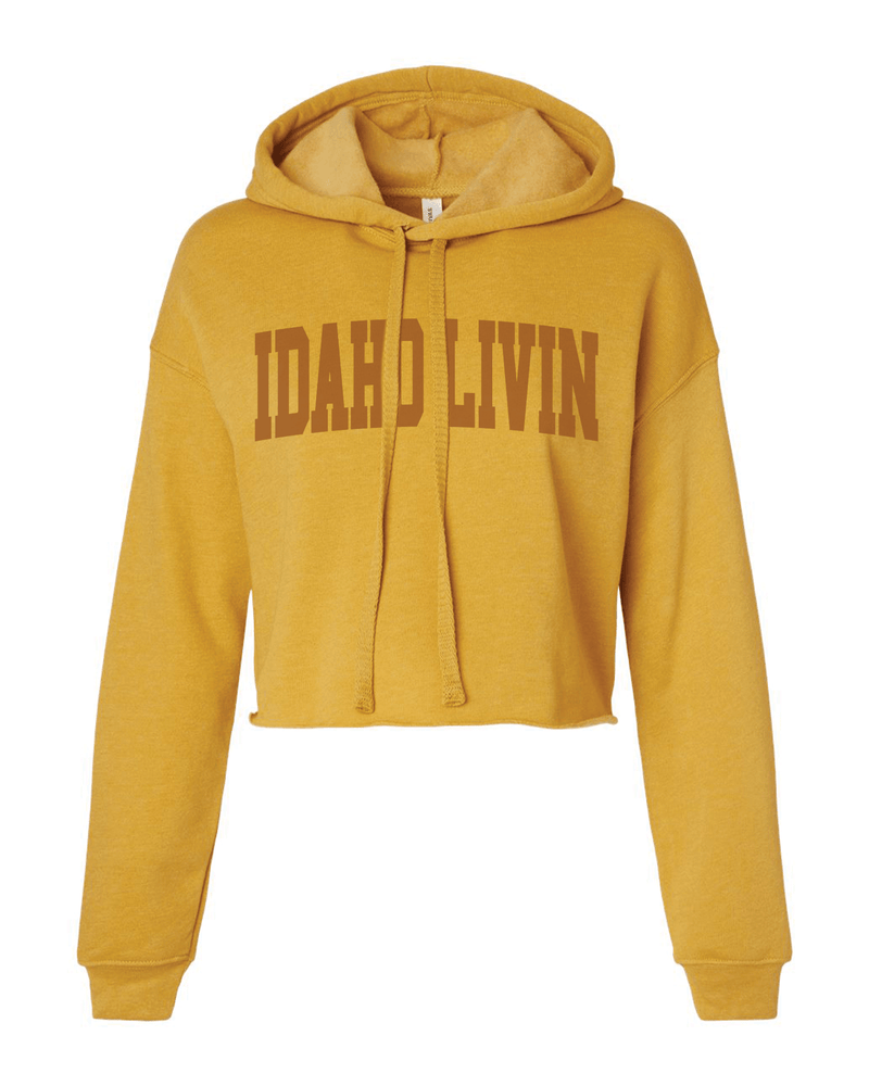 Varsity Cropped Hoodie