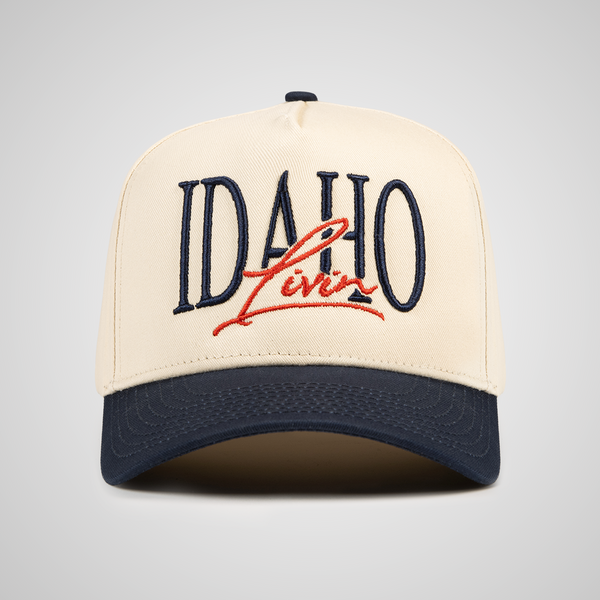 Idaho Script Flag Retro
