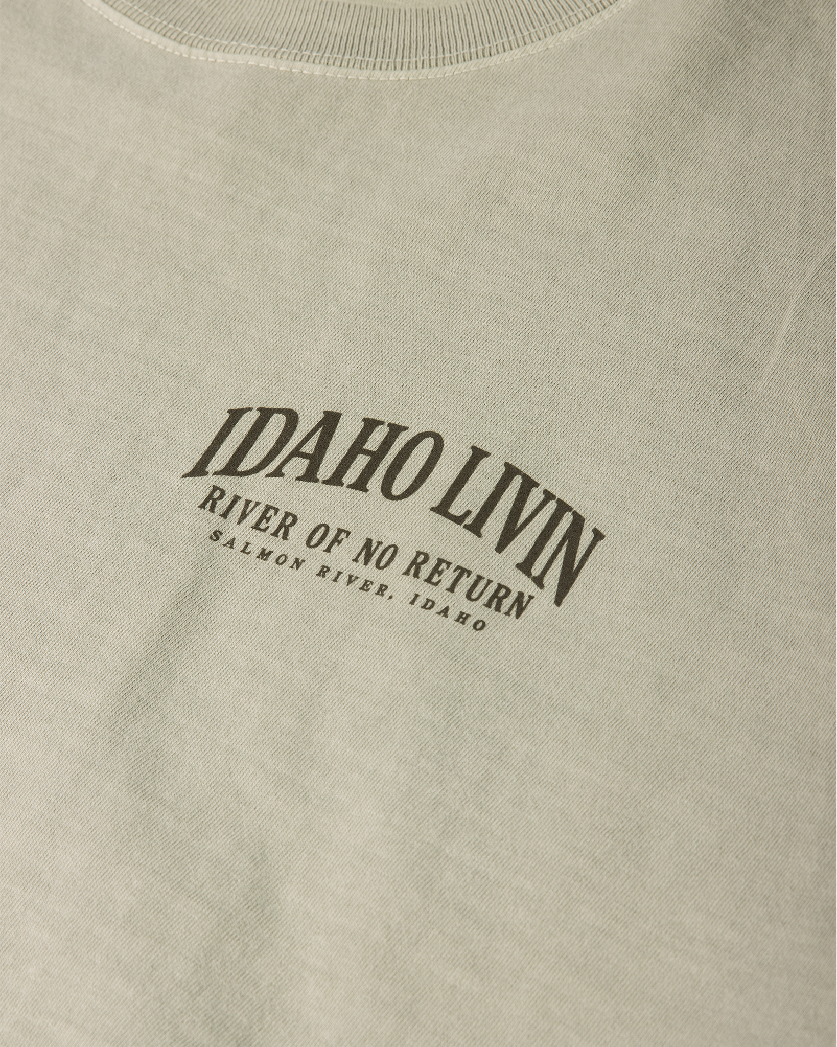 Fish Heavyweight Washed Graphic Tee | Washed Thyme