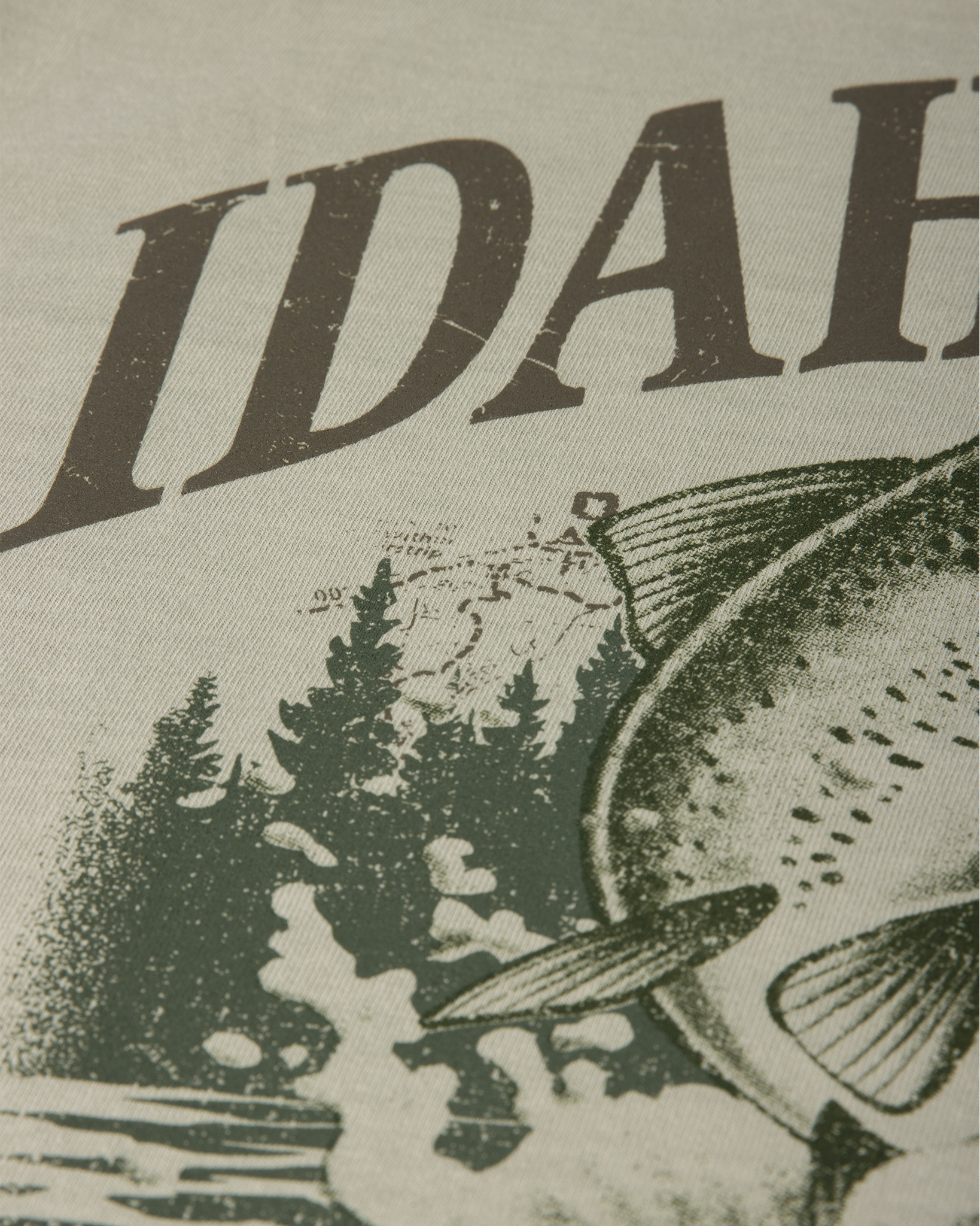 Fish Heavyweight Washed Graphic Tee | Washed Thyme