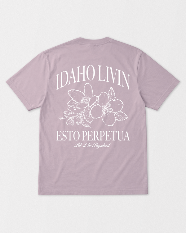 Syringa Heavyweight Washed Graphic T-Shirt - Idaho Livin