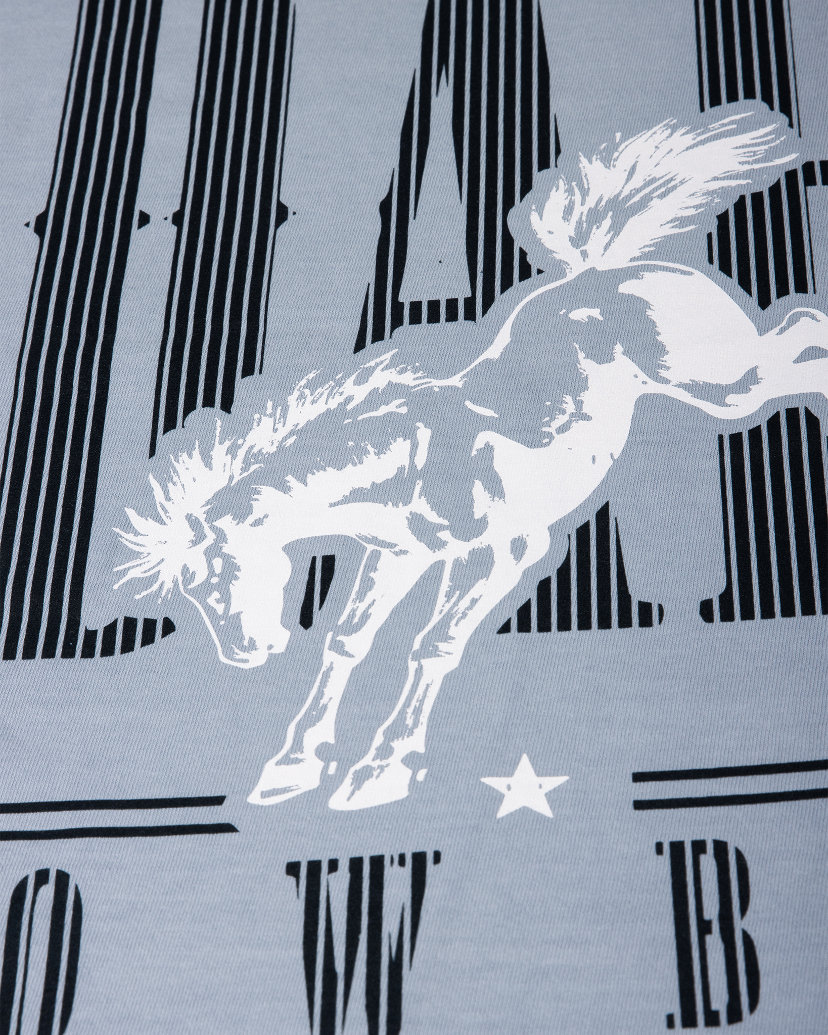 Bronco Heavyweight Washed Graphic Tee | Light Denim