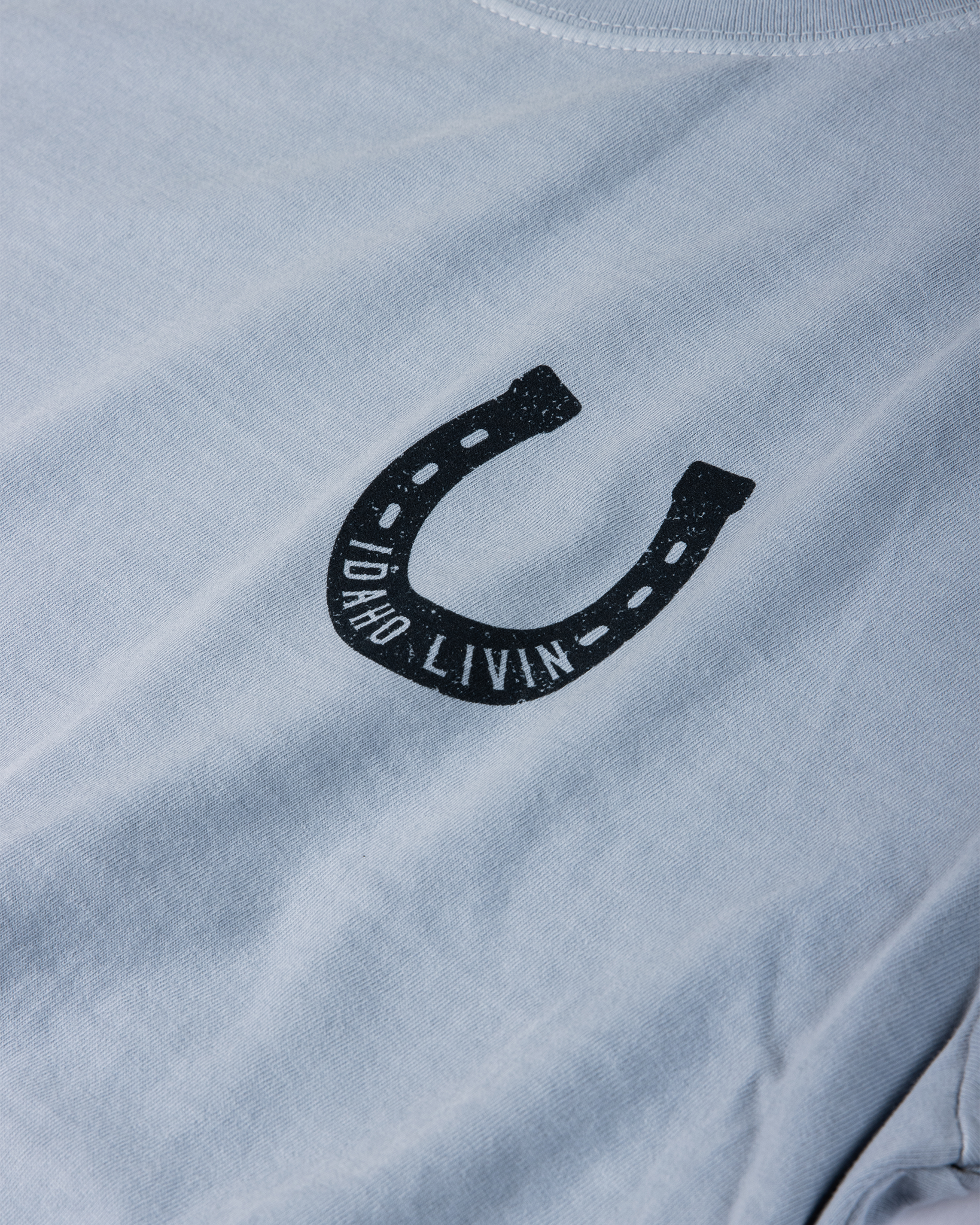 Bronco Heavyweight Washed Graphic Tee | Light Denim
