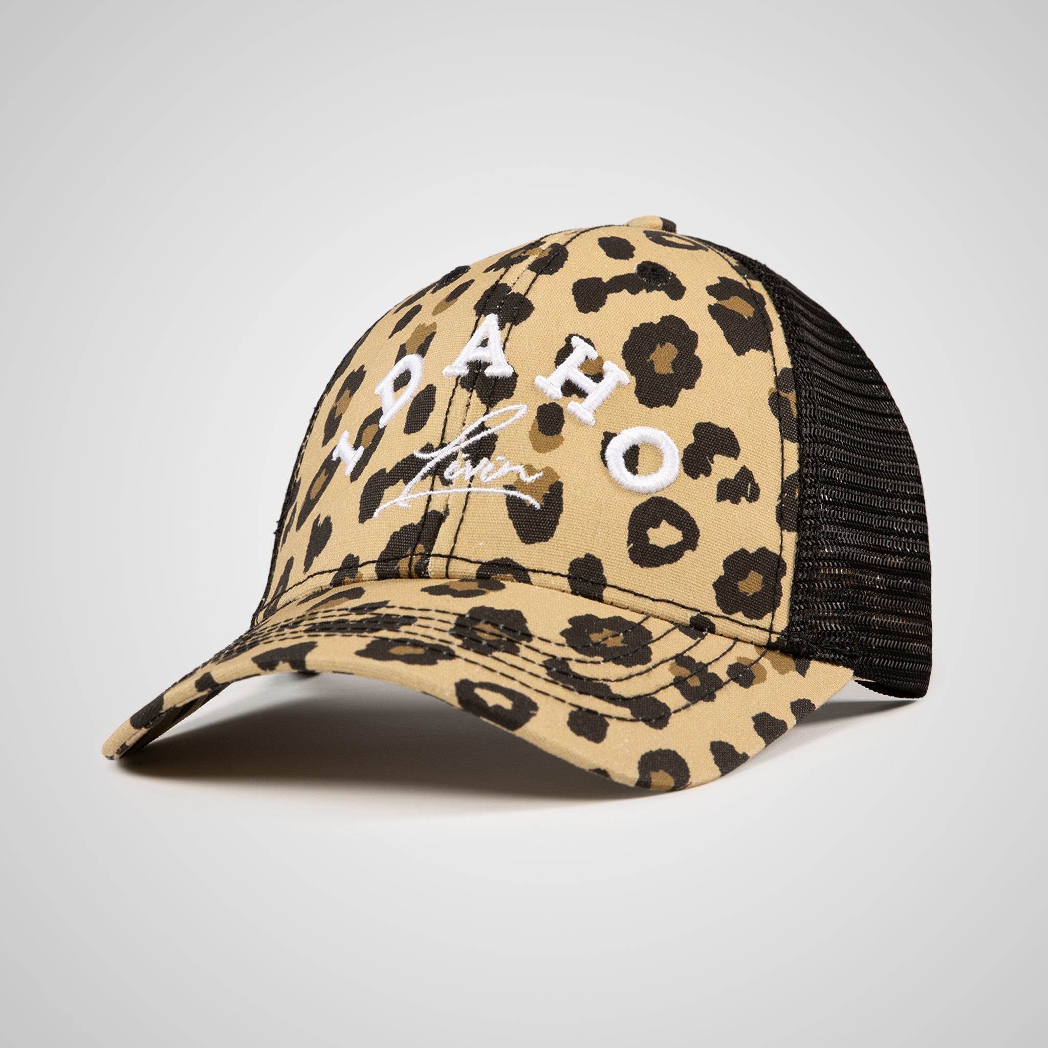 Structured Idaho Arc Ponytail Hat