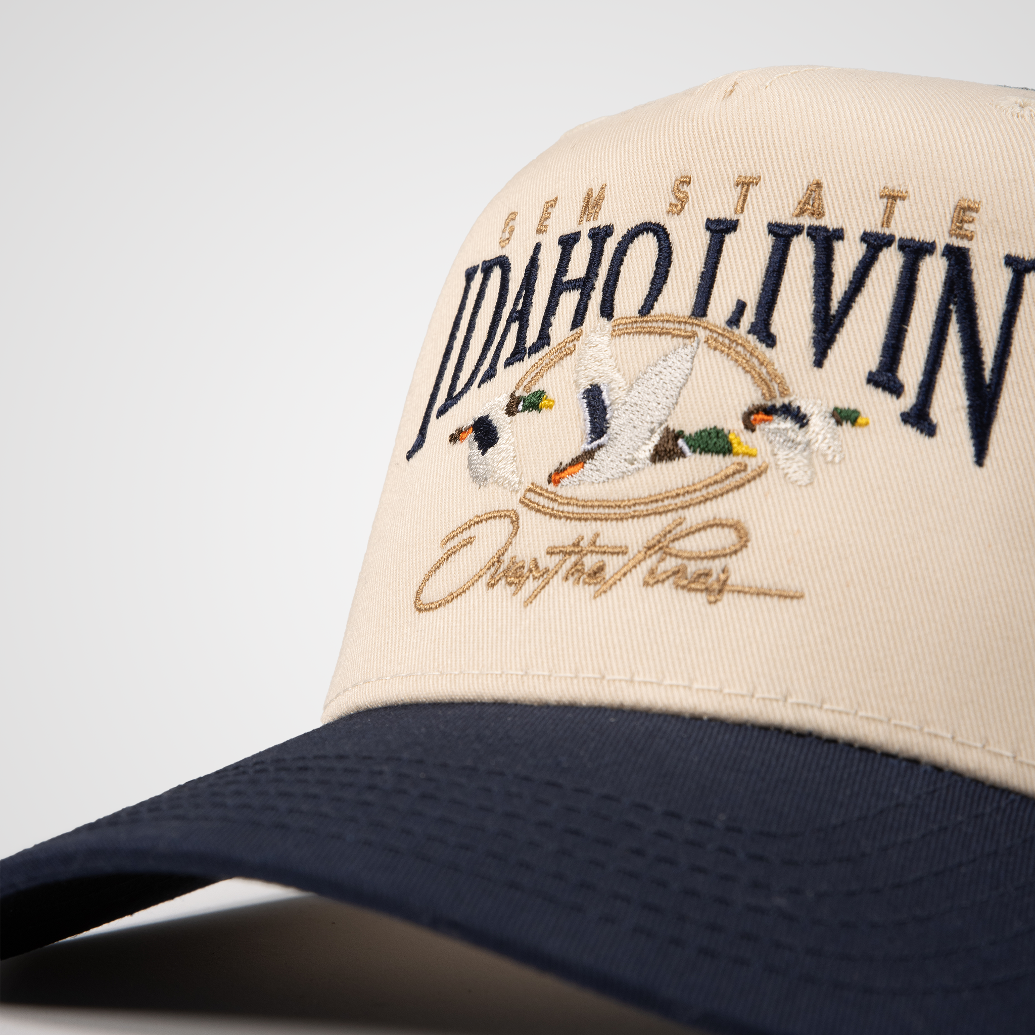 Over The Pines Retro Hat