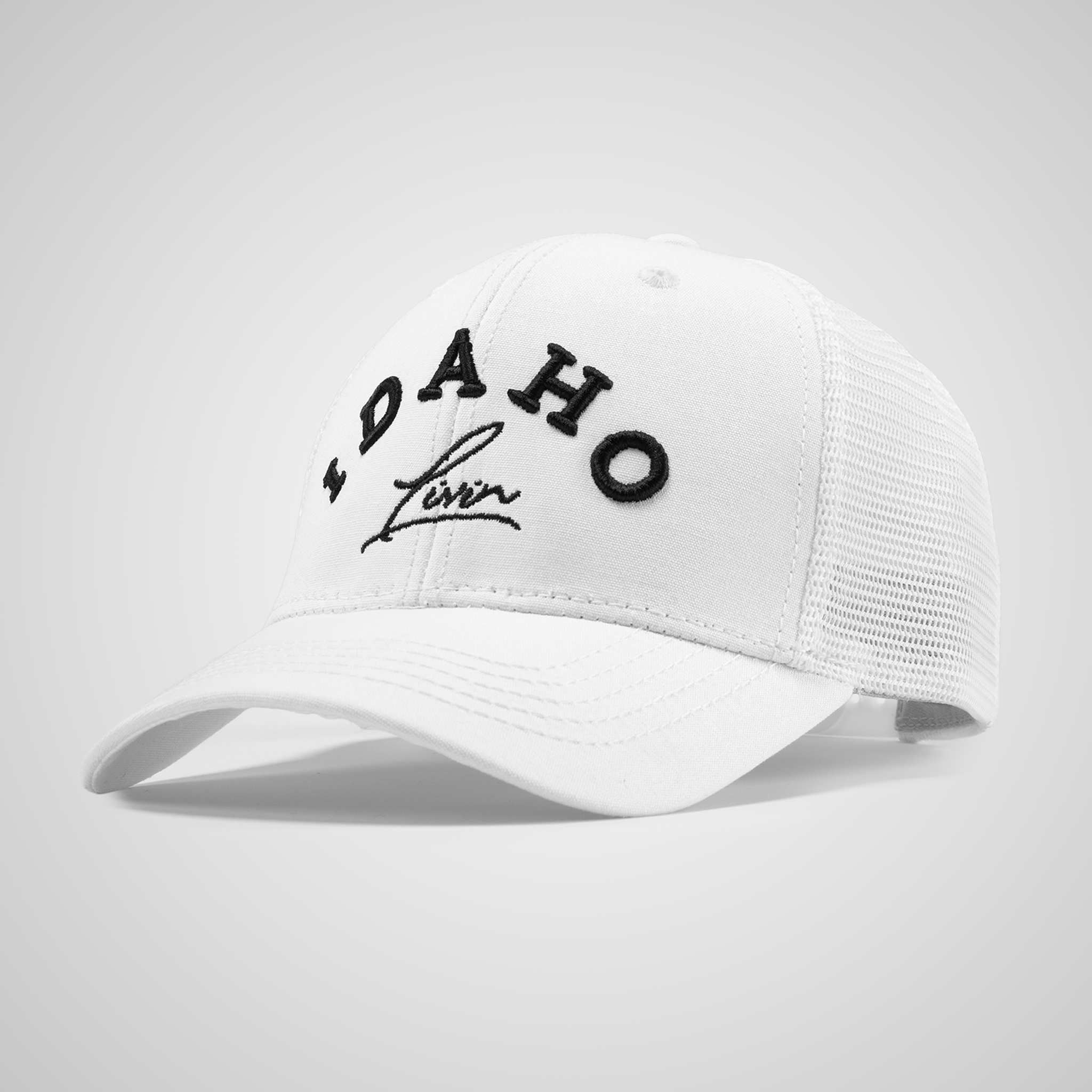 Structured Idaho Arc Ponytail Hat